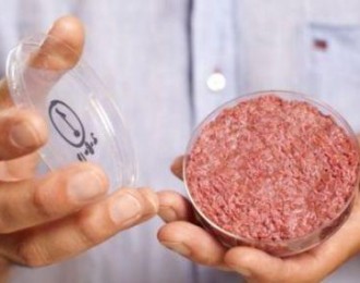 美科学家用干细胞培育出“人造肉” 或与李嘉诚合作